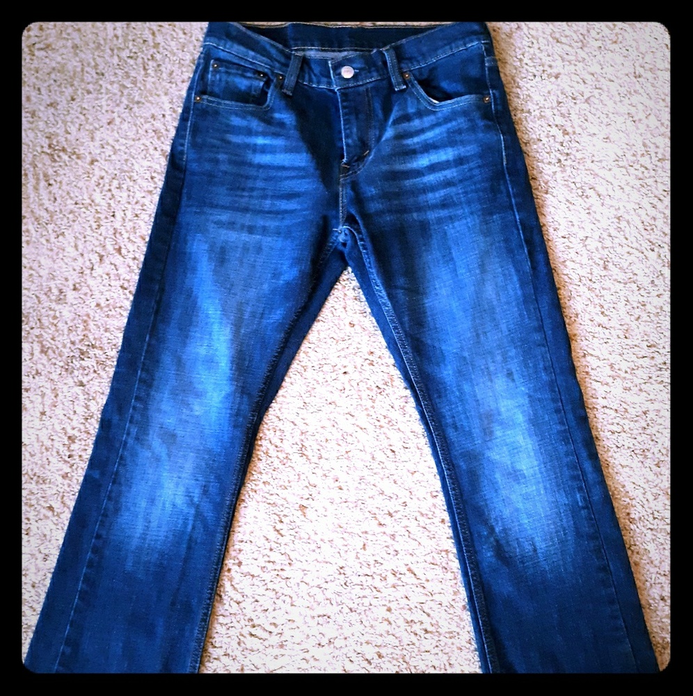Men's Levi's 30x30